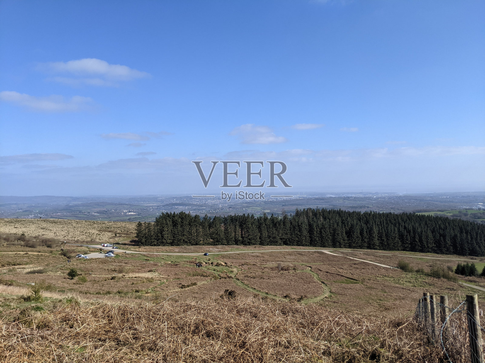 草原上的地平线:绿树成荫的美景照片摄影图片