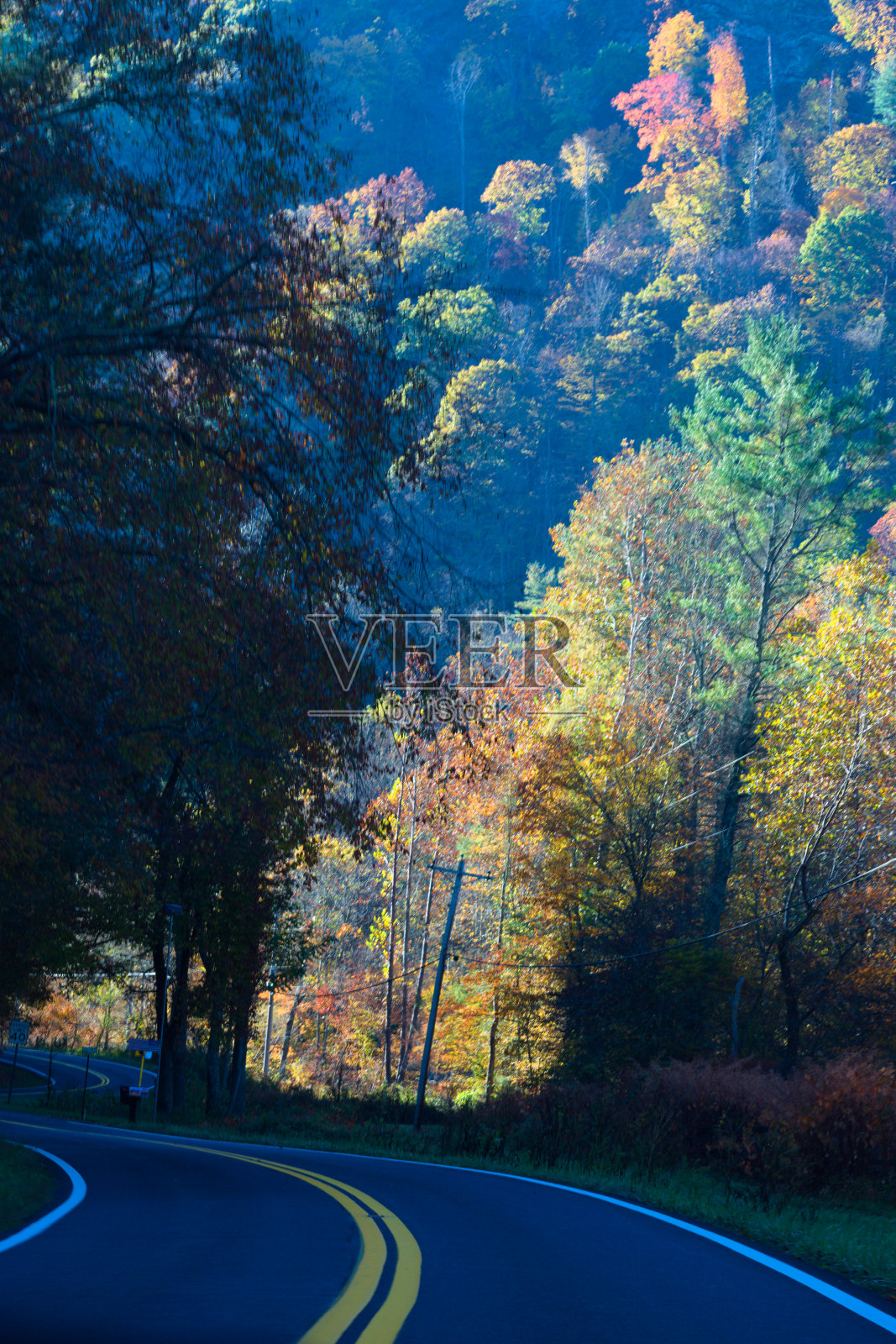 五彩缤纷的秋叶沿路照片摄影图片