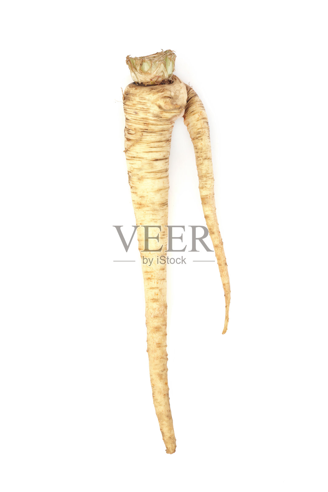 变形和分叉的防风草蔬菜照片摄影图片