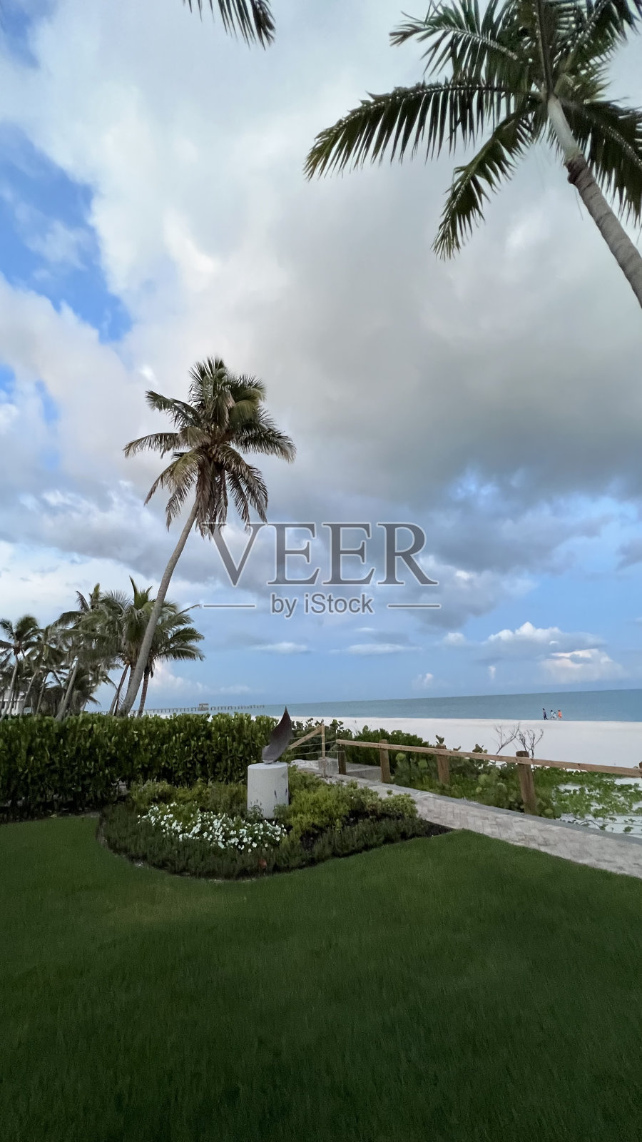 我跟着我的心走，它把我带到了海滩照片摄影图片