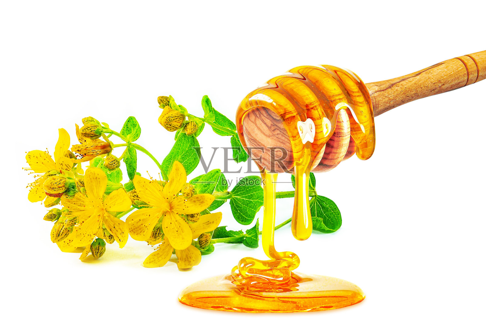 蜂蜜和圣约翰草照片摄影图片