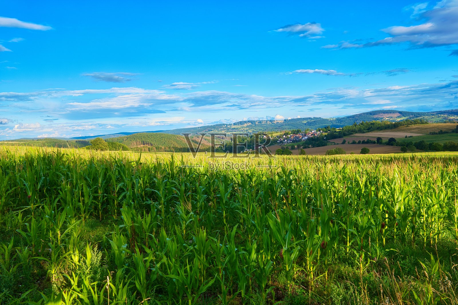 美丽的图林根州的夏天照片摄影图片