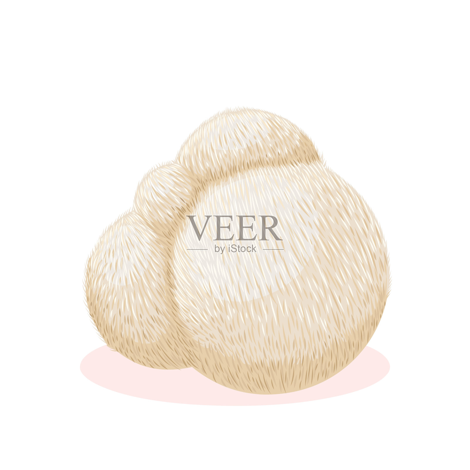 狮子头菇插画图片素材