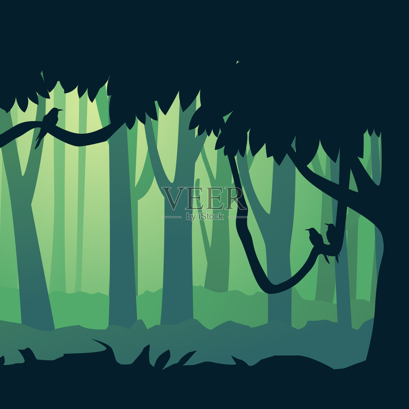 美丽的森林插图，风景，森林，丛林插画图片素材