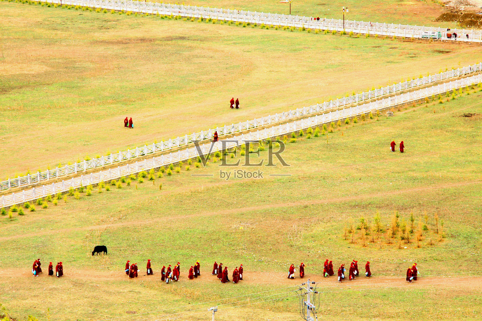 女僧侣们穿过草地照片摄影图片