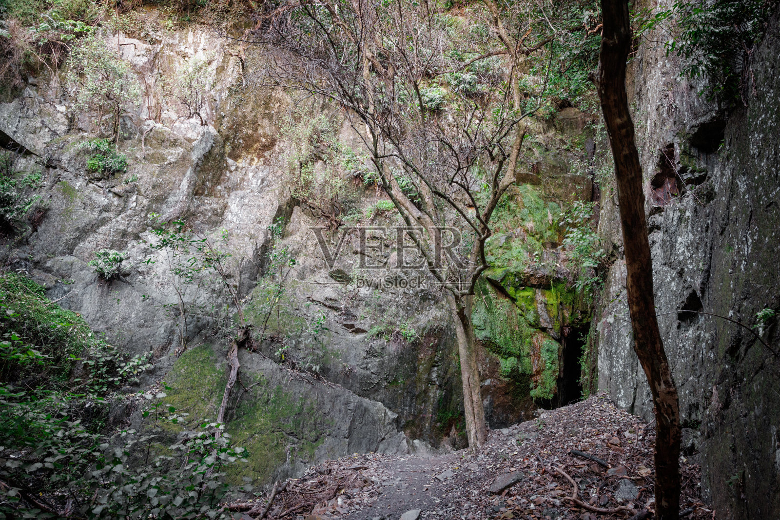 爸爸沃森的洞穴照片摄影图片