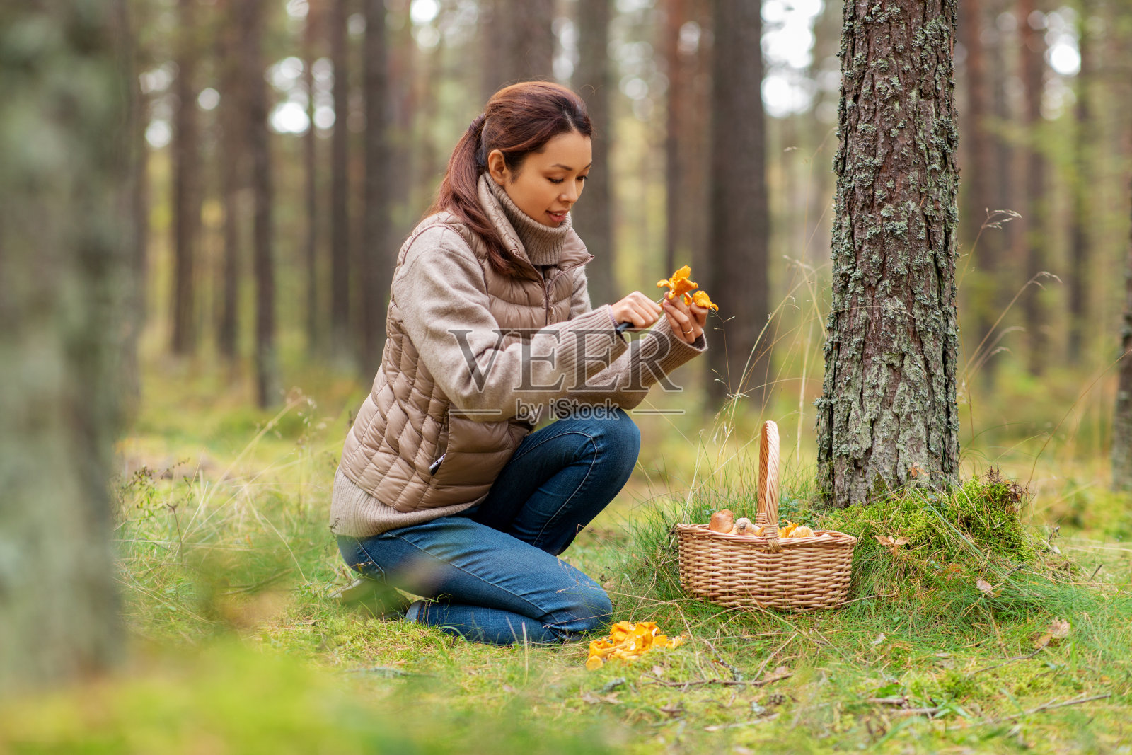 年轻女子在秋天的森林里采蘑菇照片摄影图片