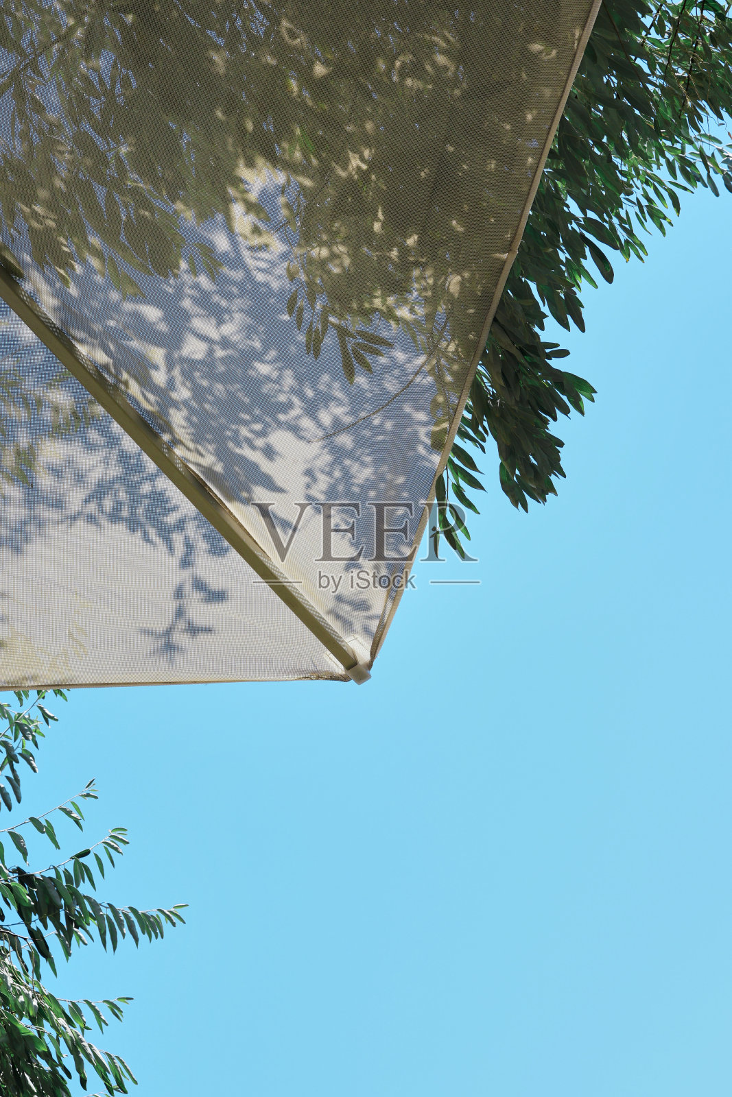 夏天宁静照片摄影图片