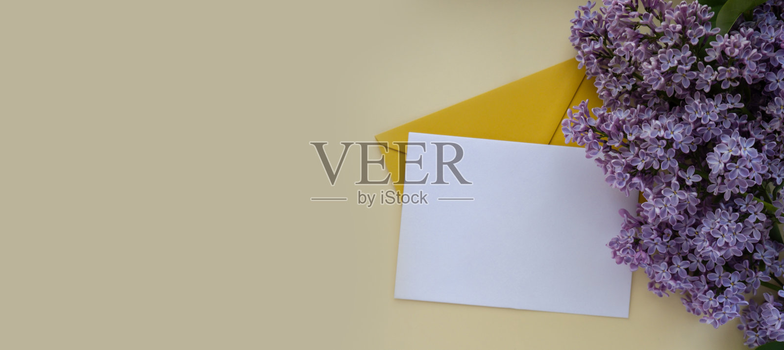 横幅组成与空的黄色信封和美丽的春天丁香花在米色的背景。样板卡邀请贺卡明信片复制空间模板。枝头盛开的丁香花束。照片摄影图片