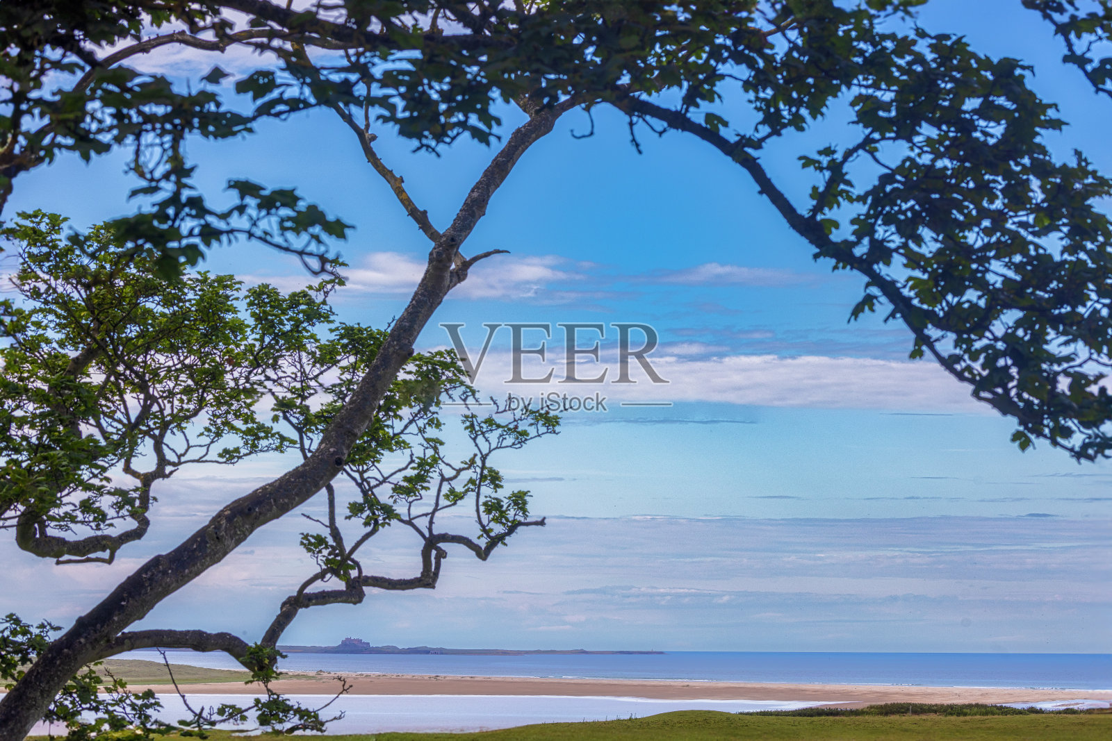 搭建场景照片摄影图片