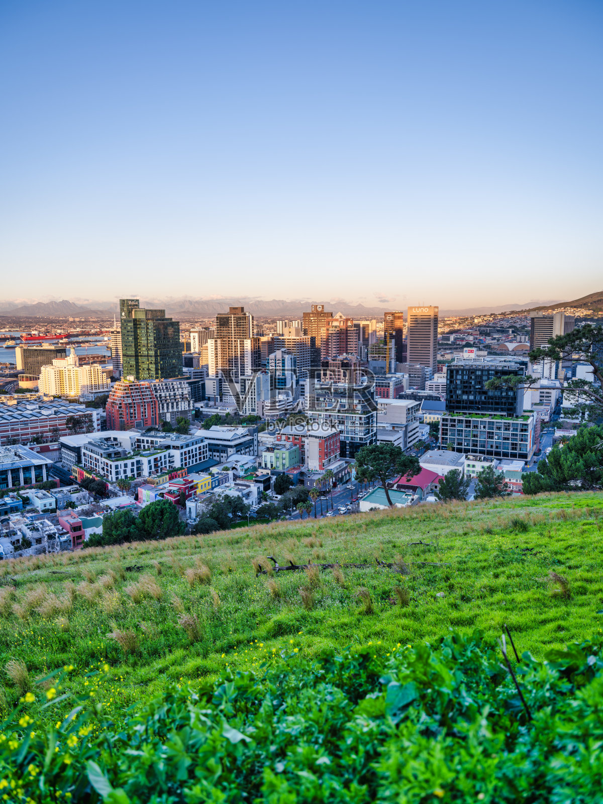 在南非开普敦的春天，从郁郁葱葱的绿色山坡上拍摄的日落时开普敦城市天际线的垂直照片照片摄影图片