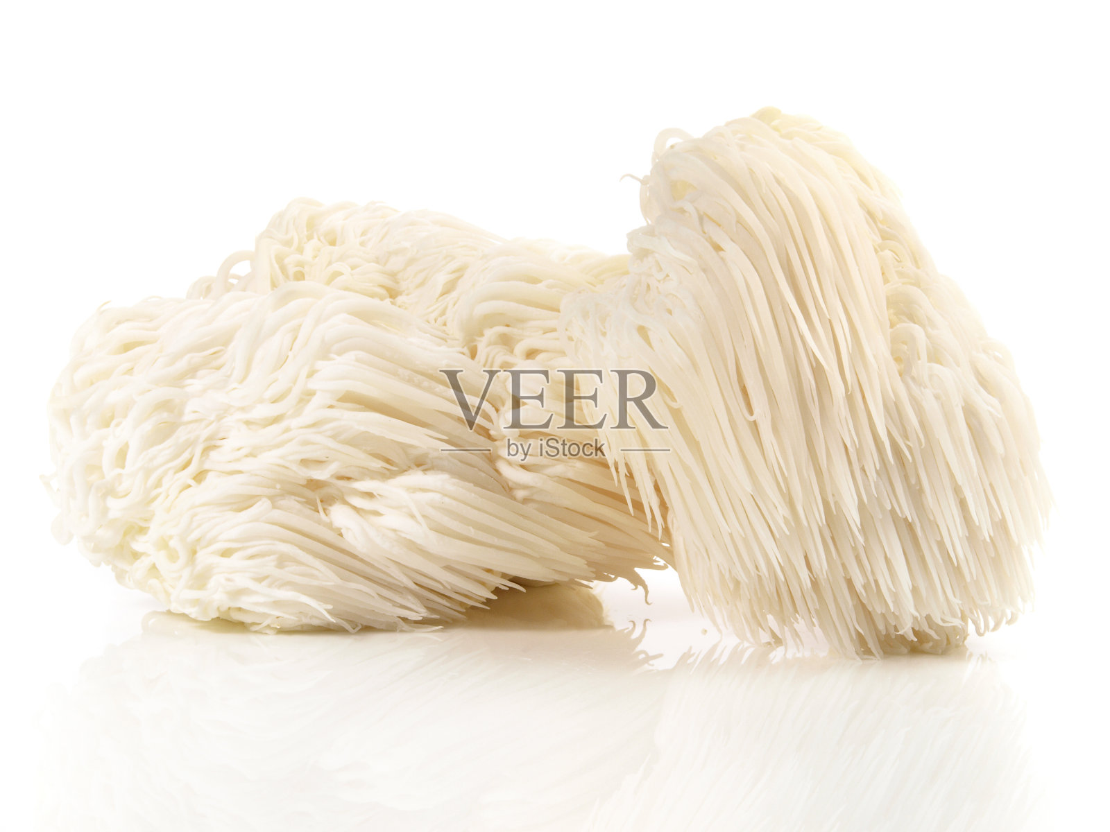 新鲜猴头菌-健康营养照片摄影图片