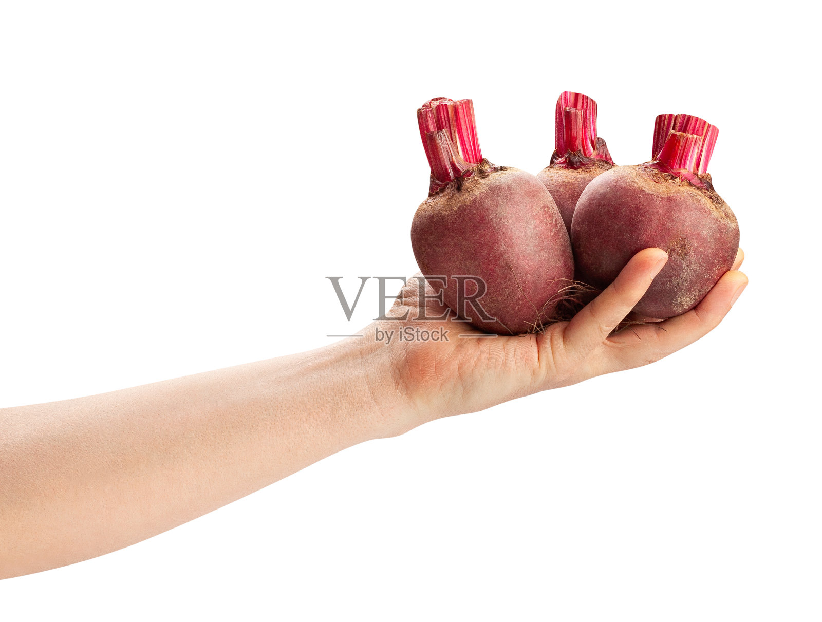 手里拿着甜菜根照片摄影图片