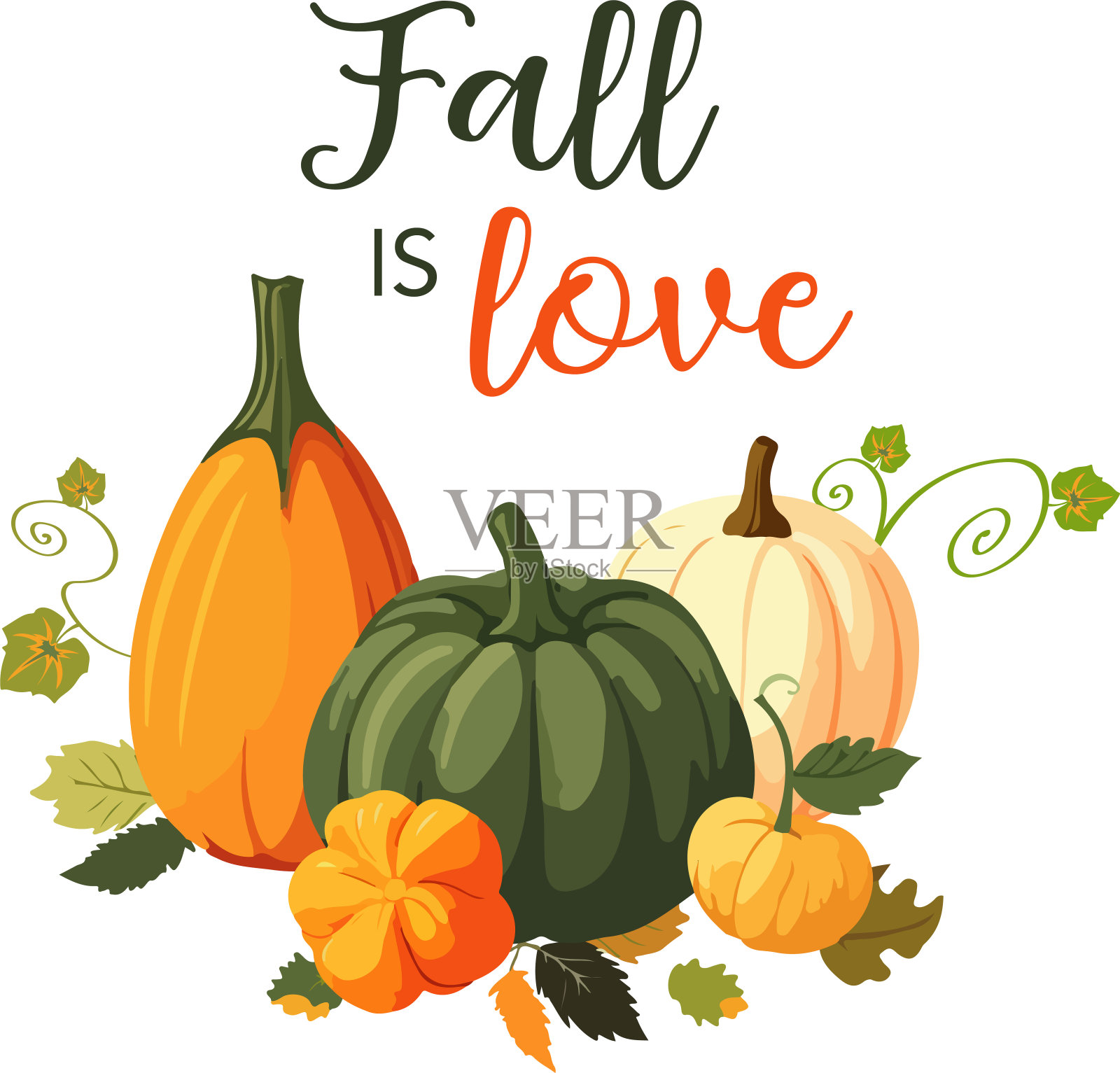 矢量插图的各种泵桩与树叶在白色背景。秋天是爱情短信插画图片素材