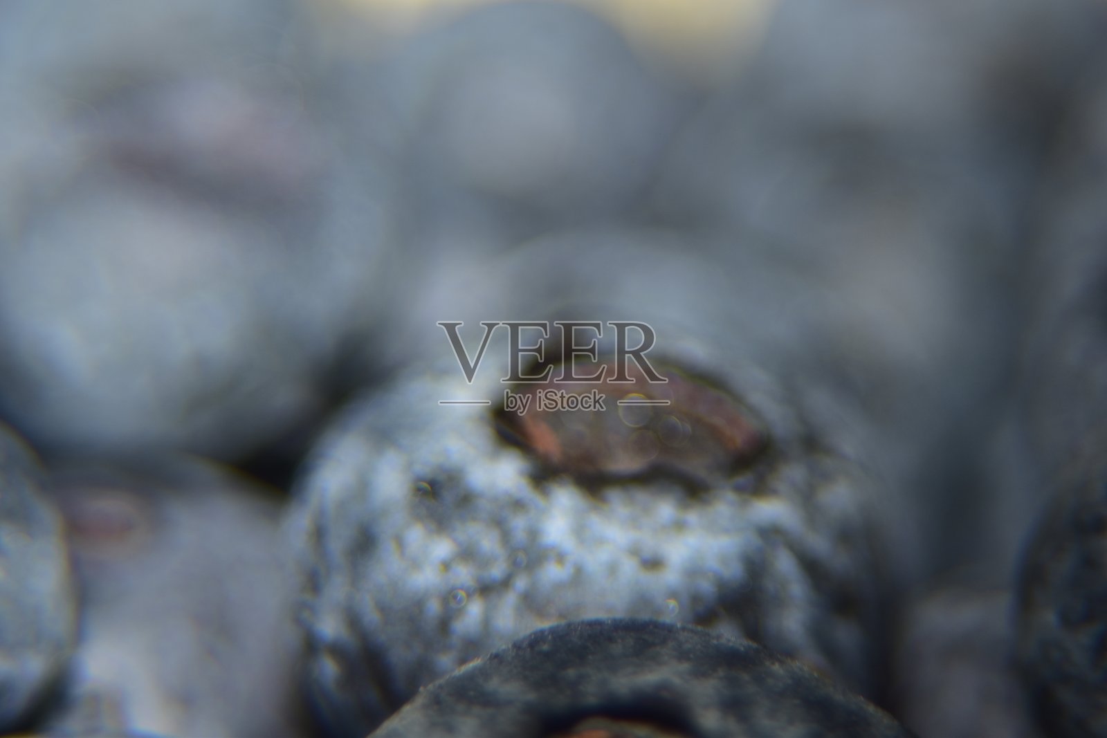 多汁可口的蓝莓特写。水果纹理背景的极端特写。照片摄影图片