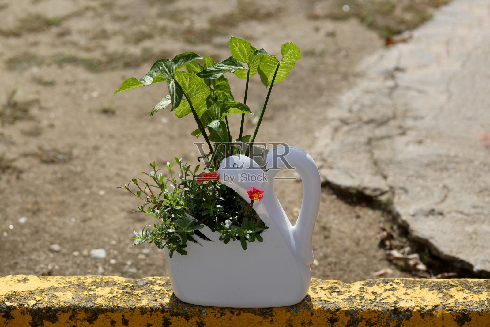 可重复使用的装饰品照片摄影图片
