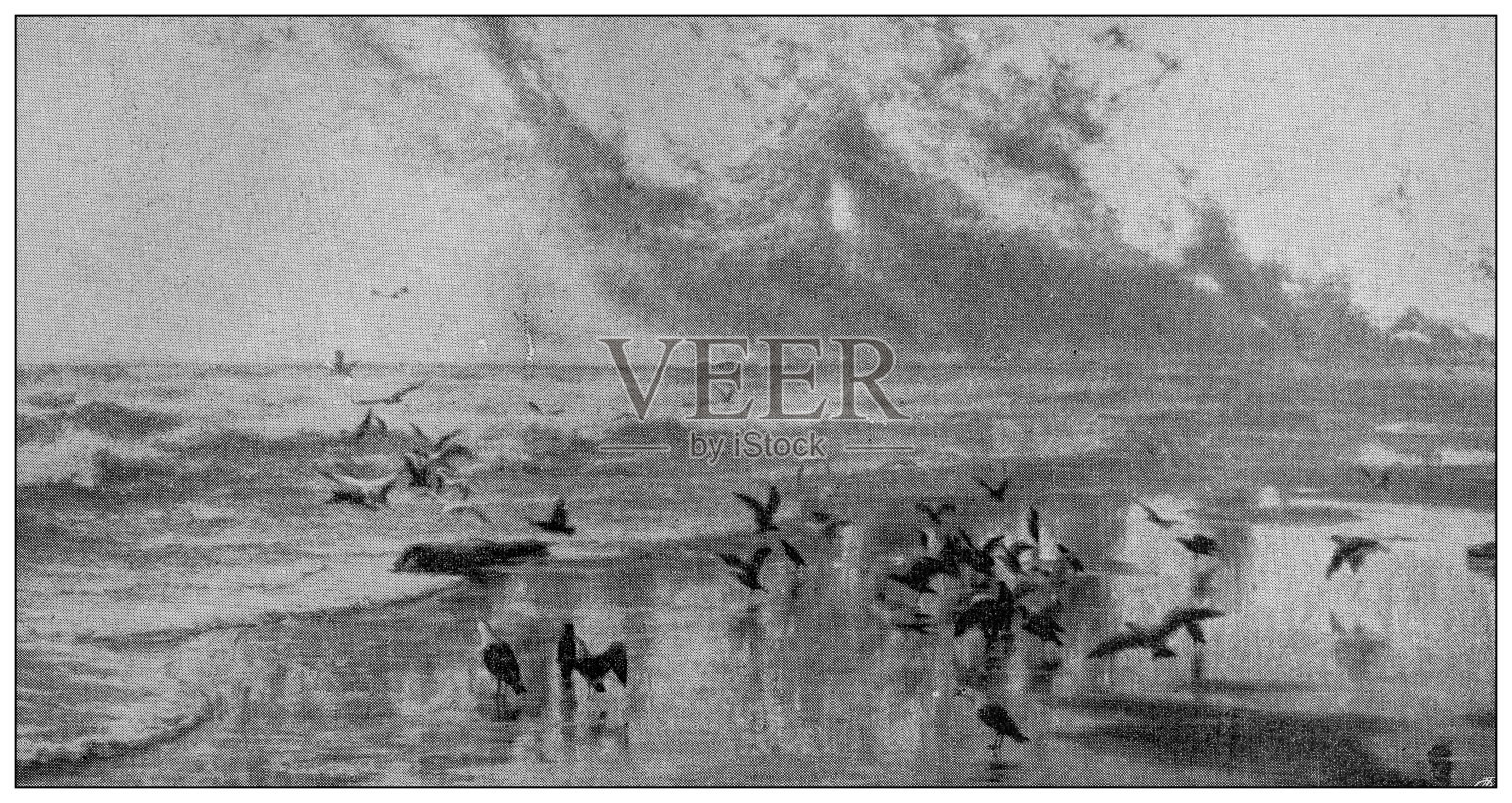 古玩形象:绘画，Tattegrain的“Epave”插画图片素材