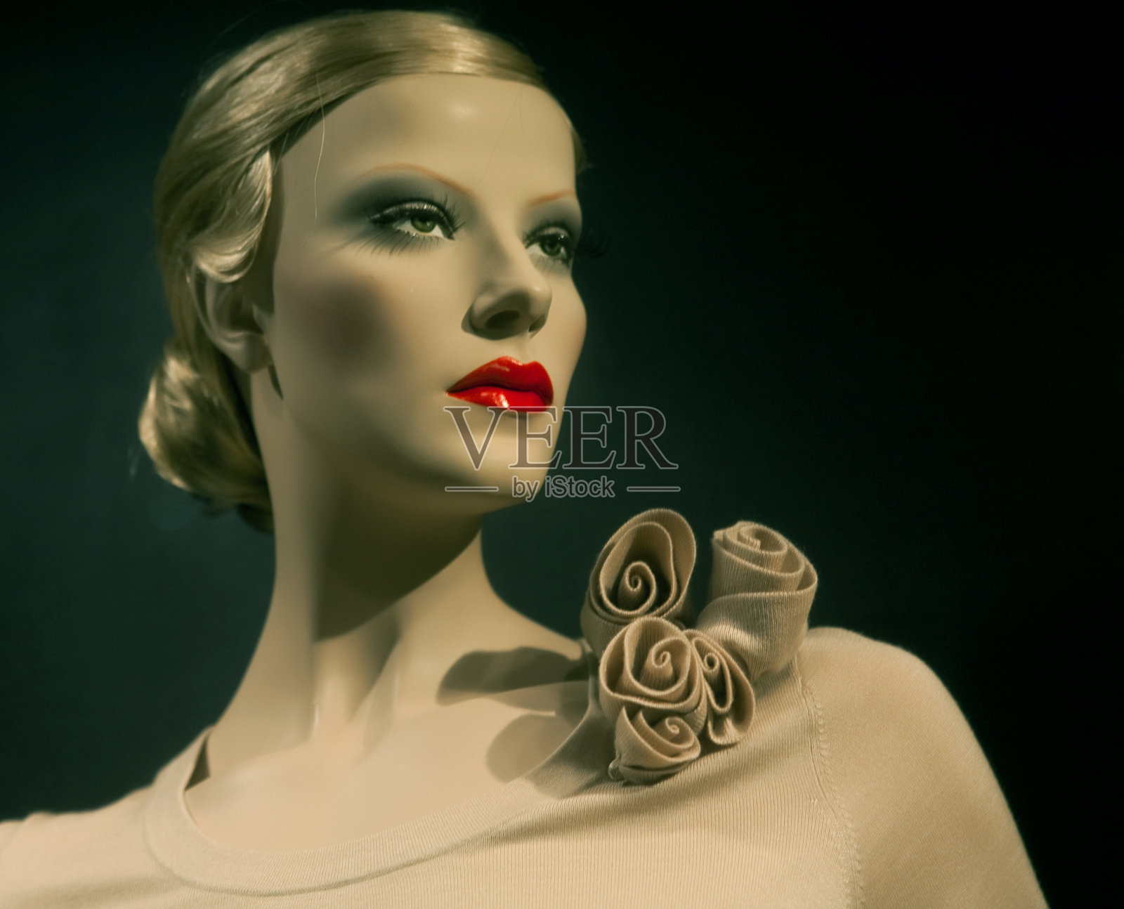 人体模型。照片摄影图片