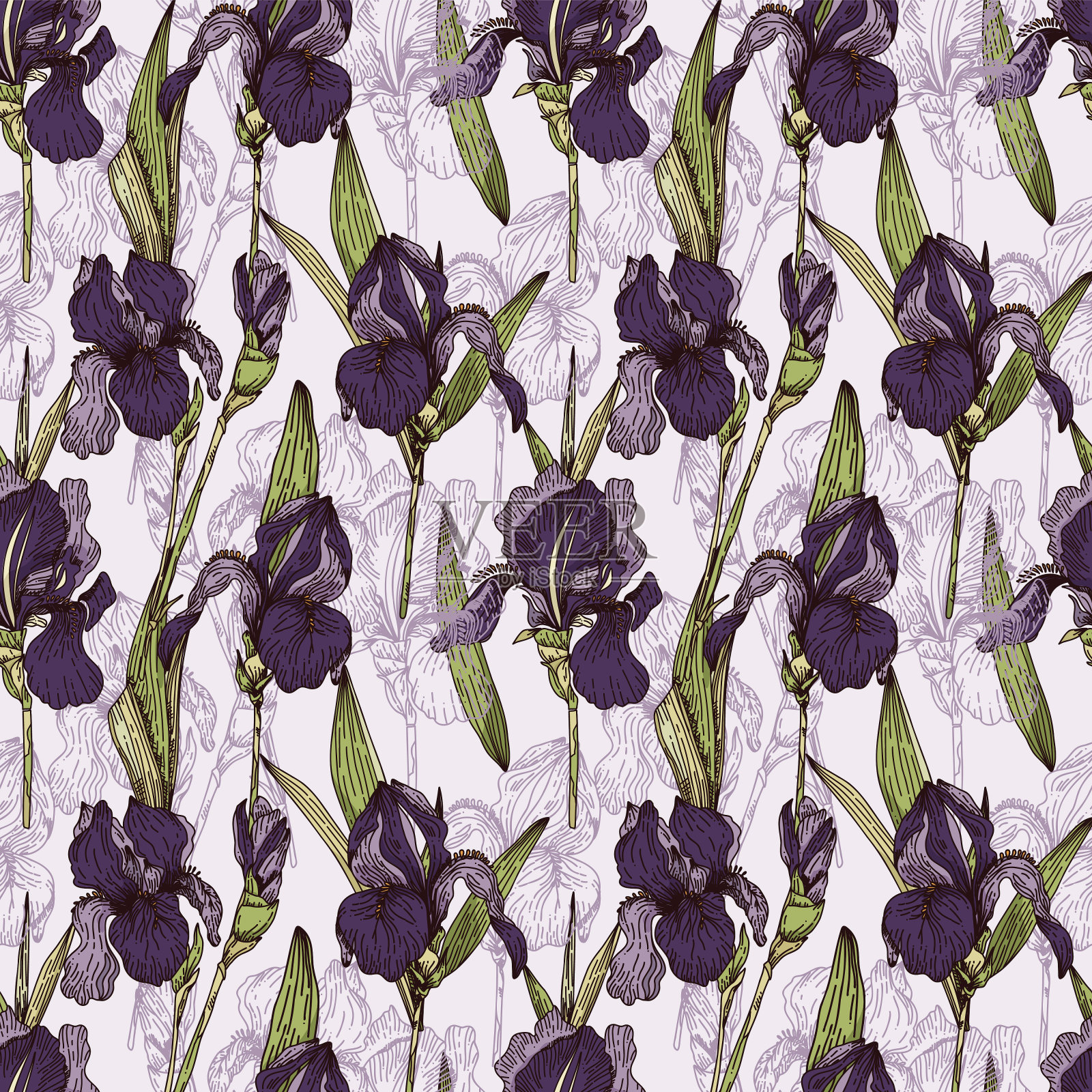 明亮的无缝图案与紫罗兰鸢尾花插画图片素材