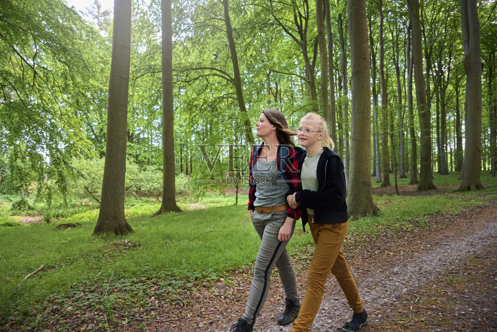 两个人走在森林里的土路上的后景照片摄影图片