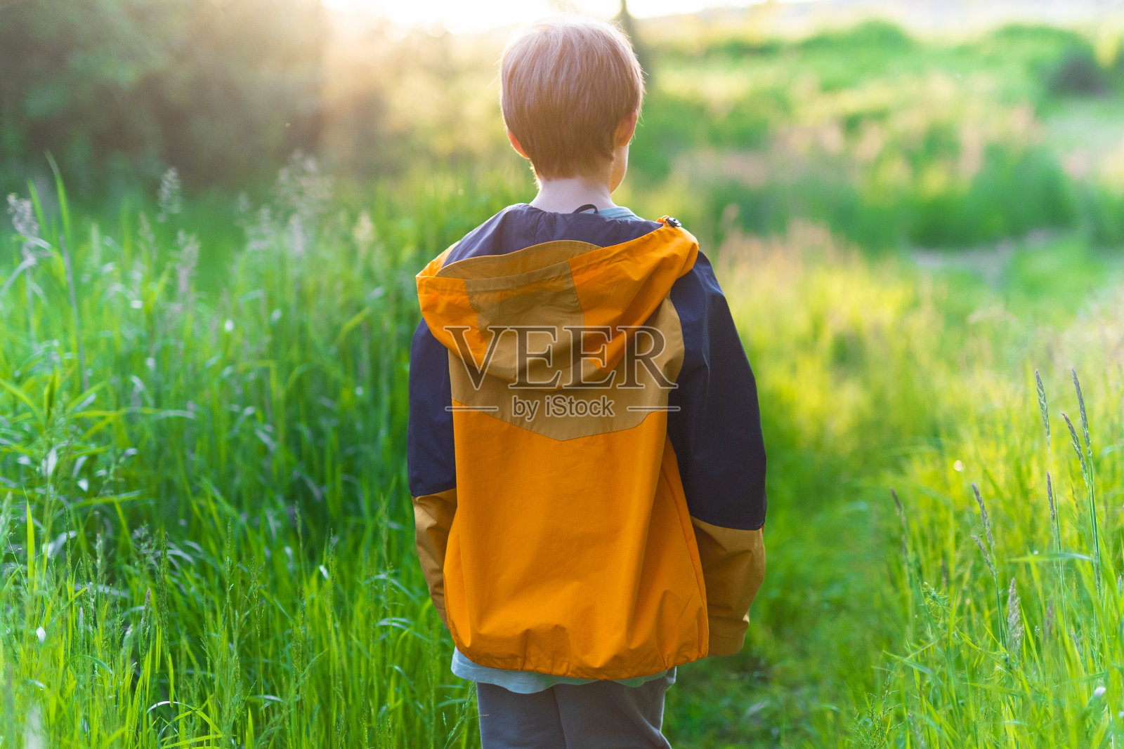 森林里的小男孩照片摄影图片