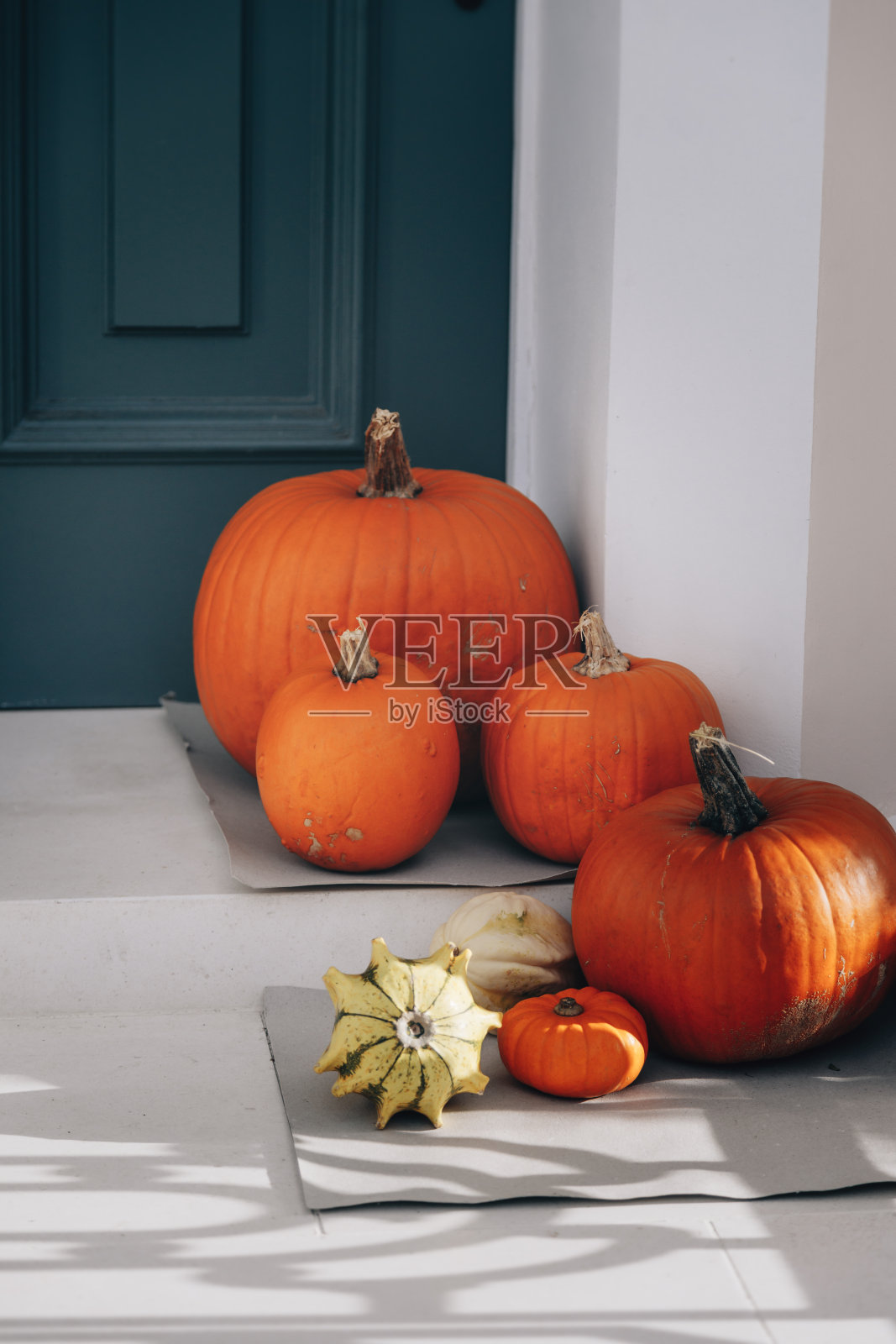 秋季假日南瓜摆件照片摄影图片