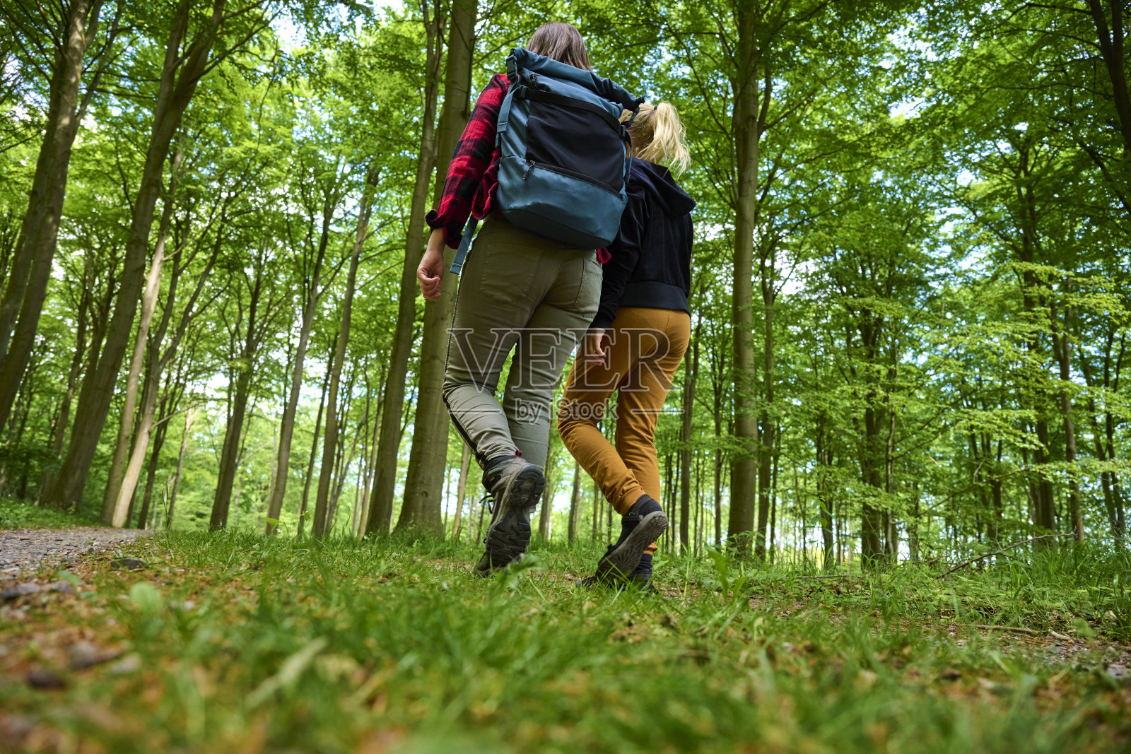 两个人走在森林里的土路上的后景照片摄影图片