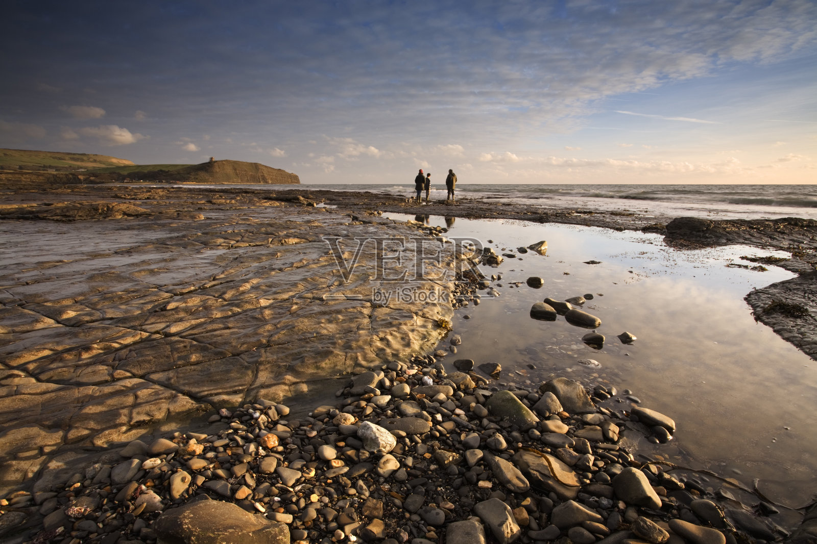 与家人散步的狗一起眺望kimimmeridge湾照片摄影图片
