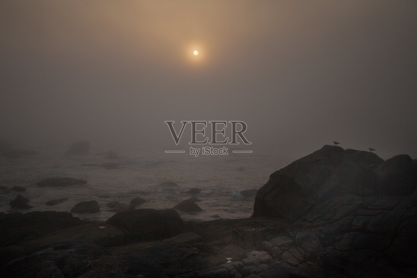 科斯塔达莫特的雾石照片摄影图片