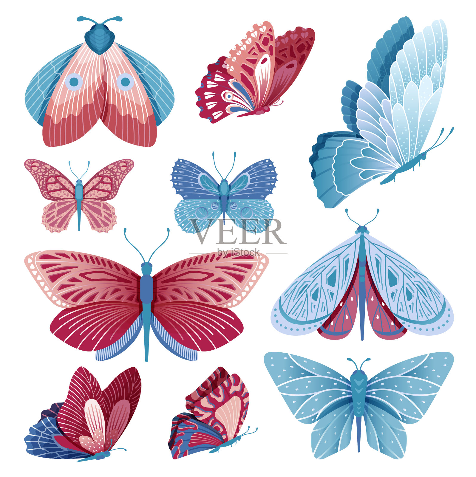 蝴蝶收集蝴蝶飞孤立插画图片素材