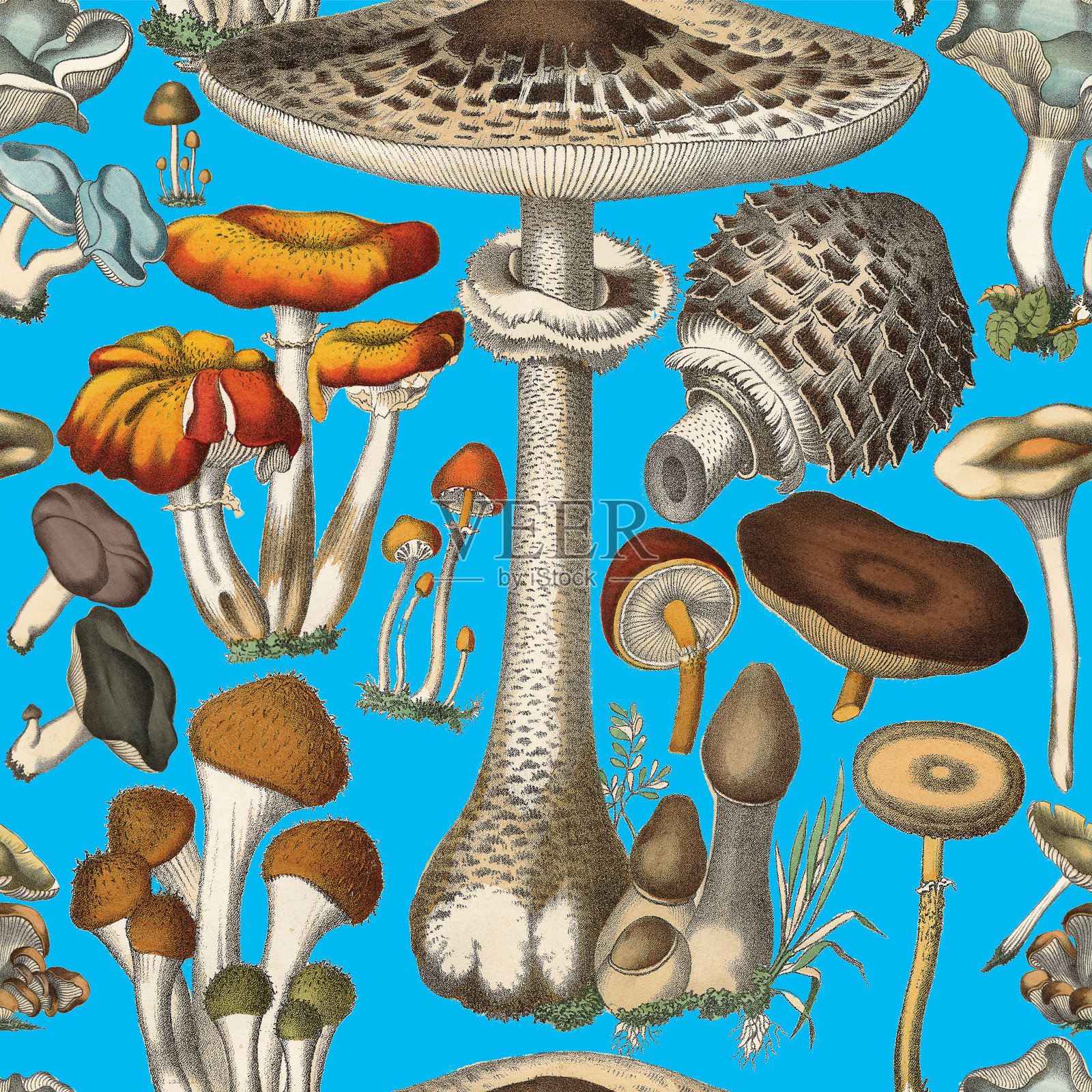 维多利亚植物，手工着色，无缝重复模式。逼真的蘑菇复古面料背景。美丽的农舍花园和野花。壁纸巴洛克风格。绘画雕刻。维多利亚时代的插图。股票插图插画图片素材