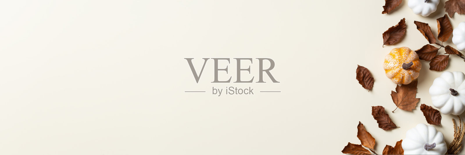 秋天的感恩节用装饰南瓜、横幅组成照片摄影图片