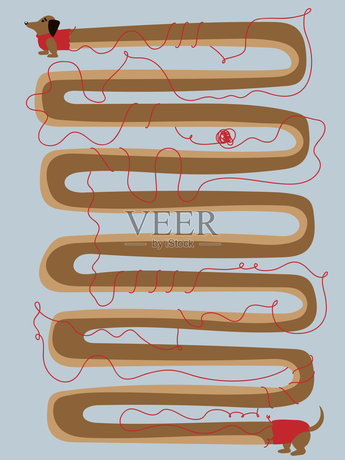 很长的香肠狗插图插画图片素材
