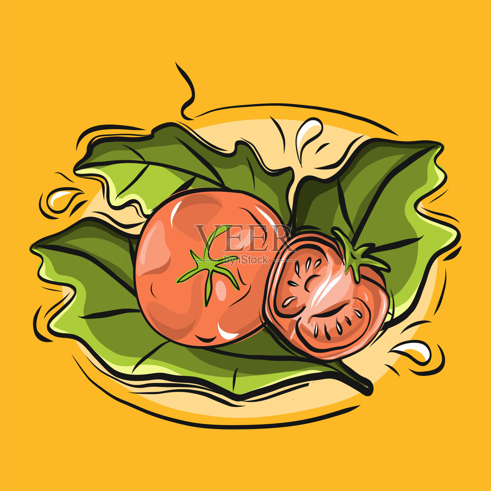 番茄手绘矢量插图。插画图片素材
