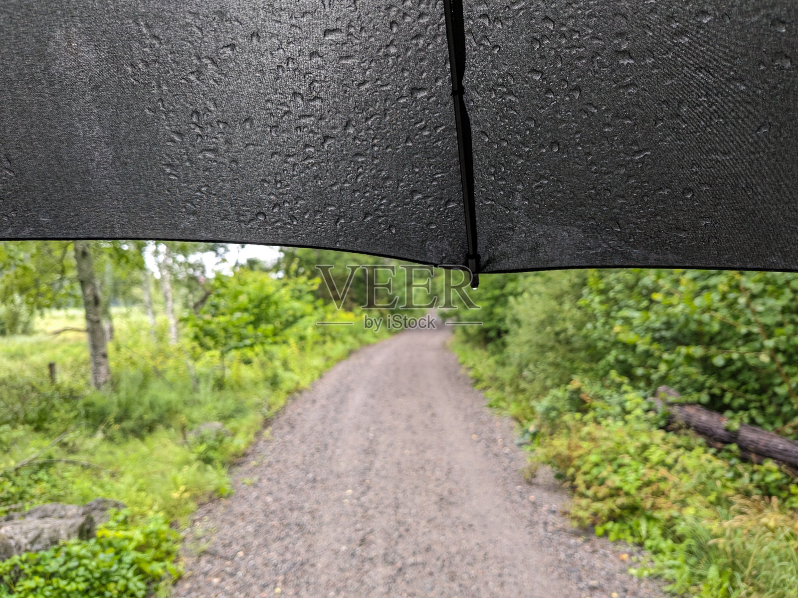 下雨天伞的近照照片摄影图片