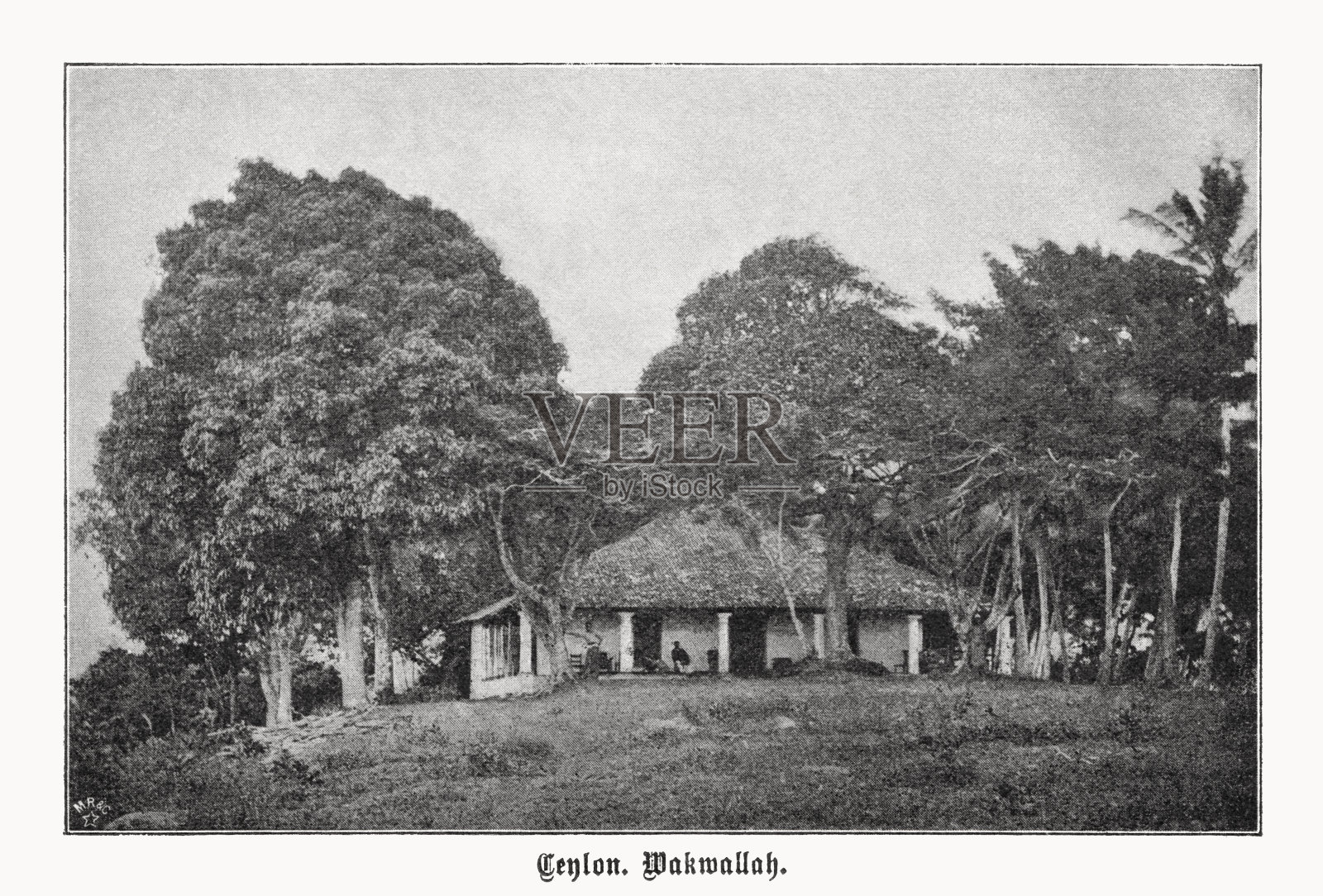 斯里兰卡锡兰Wakwalla佛寺，半色调印刷，1899年出版插画图片素材