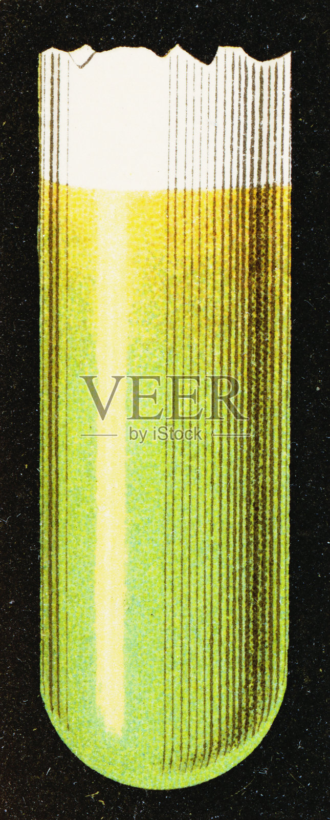 尿液中还原糖的特罗默试验，黄色/绿色低糖- 19世纪插画图片素材