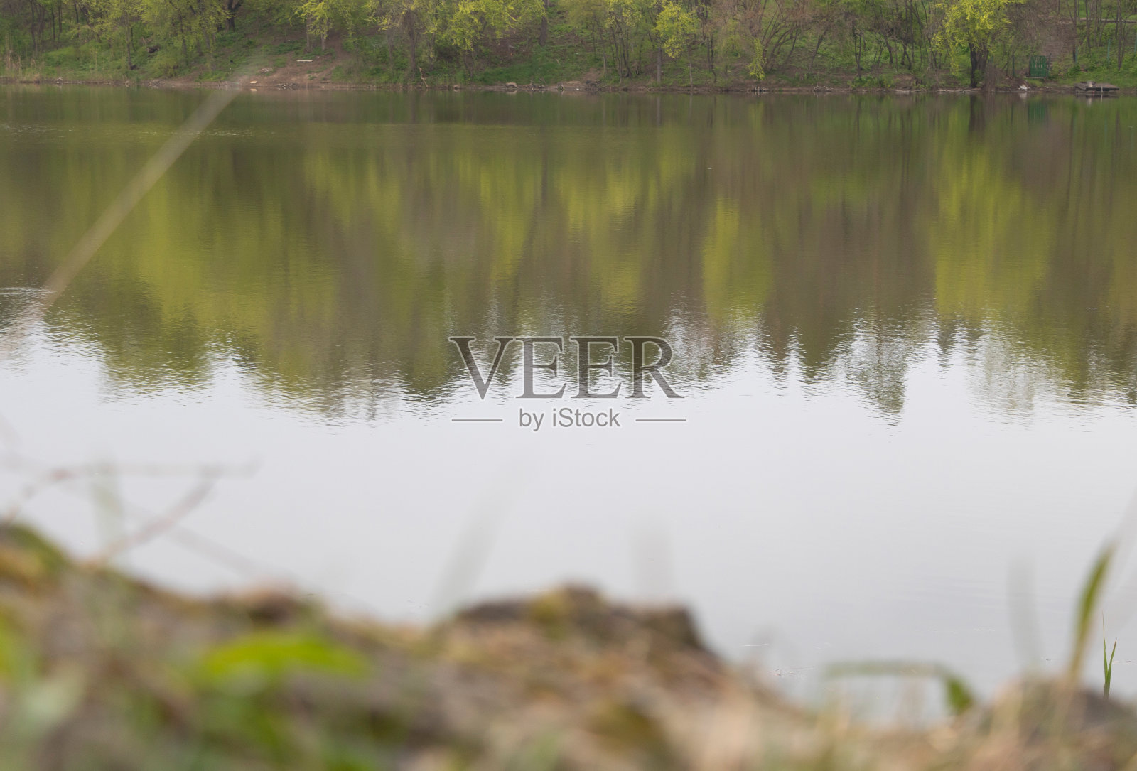 一个池塘的特写，清澈的水倒映着树木照片摄影图片