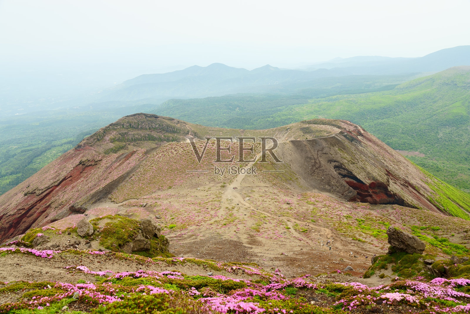 春季大幡雾岛照片摄影图片