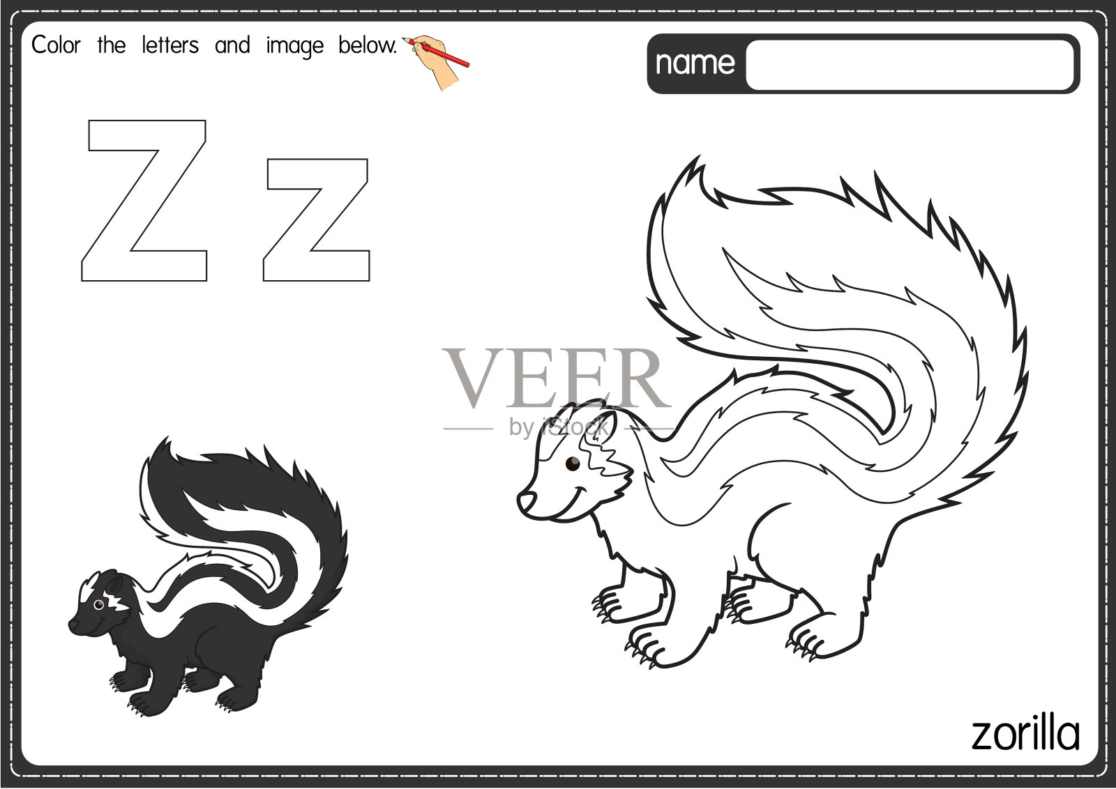 矢量插图的儿童字母着色书页与概述剪贴画，以颜色。字母Z代表Zorilla。插画图片素材