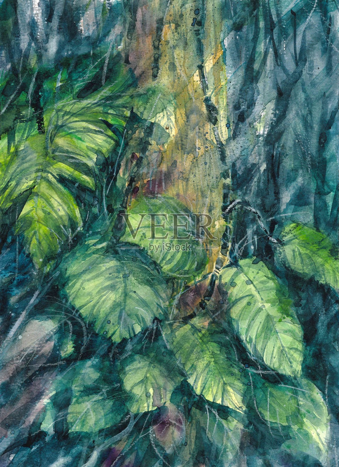 树常春藤雨自然手绘水彩画插画图片素材