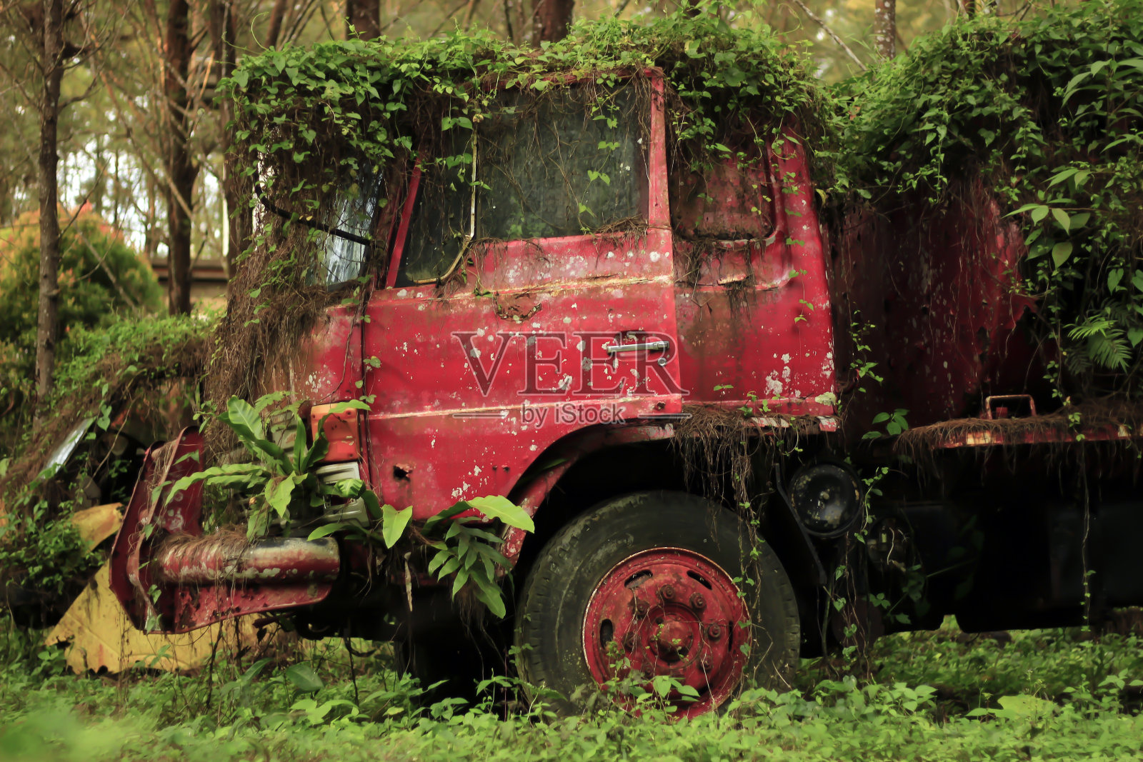 旧汽车照片摄影图片