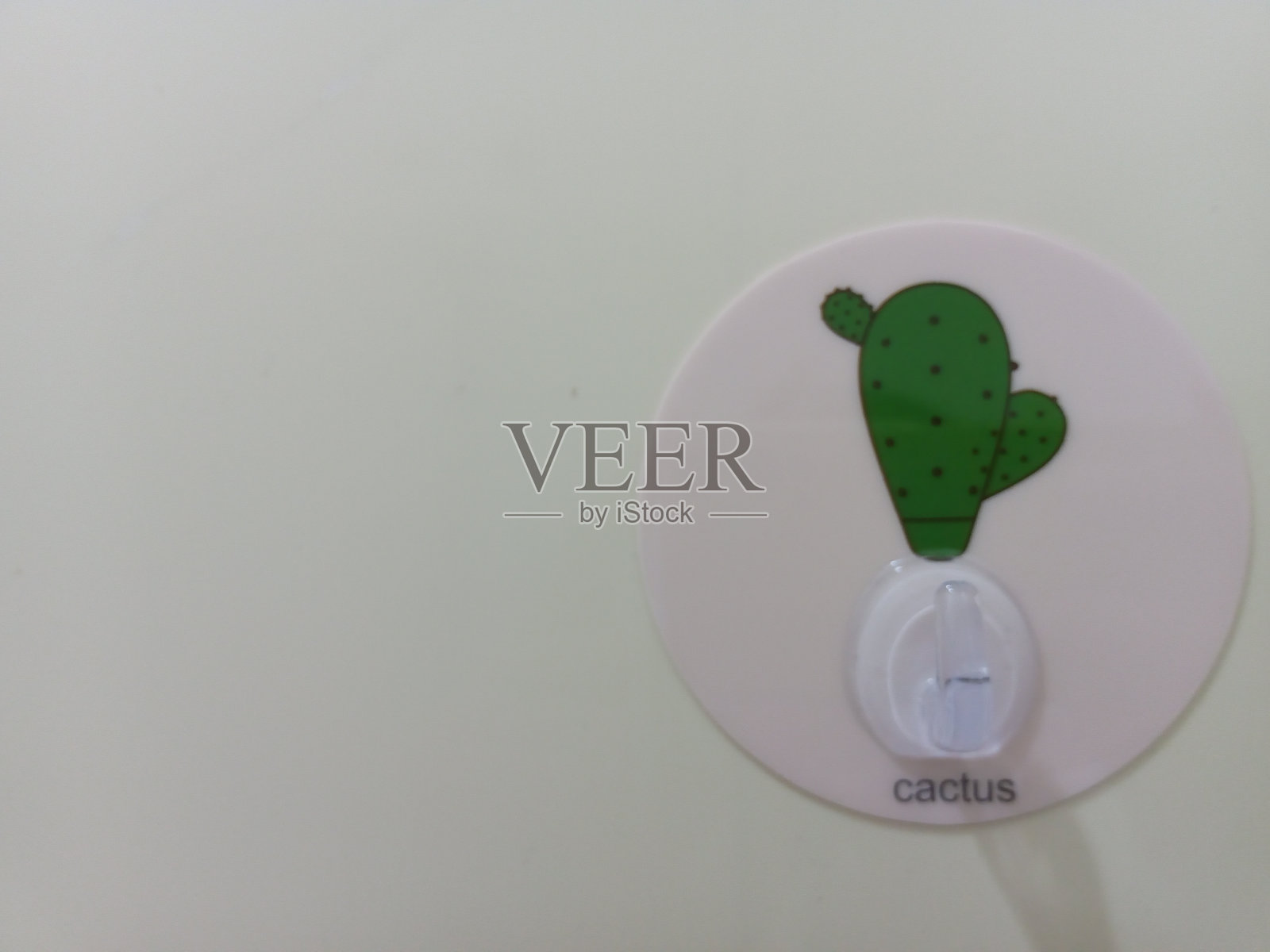 仙人掌插图照片摄影图片