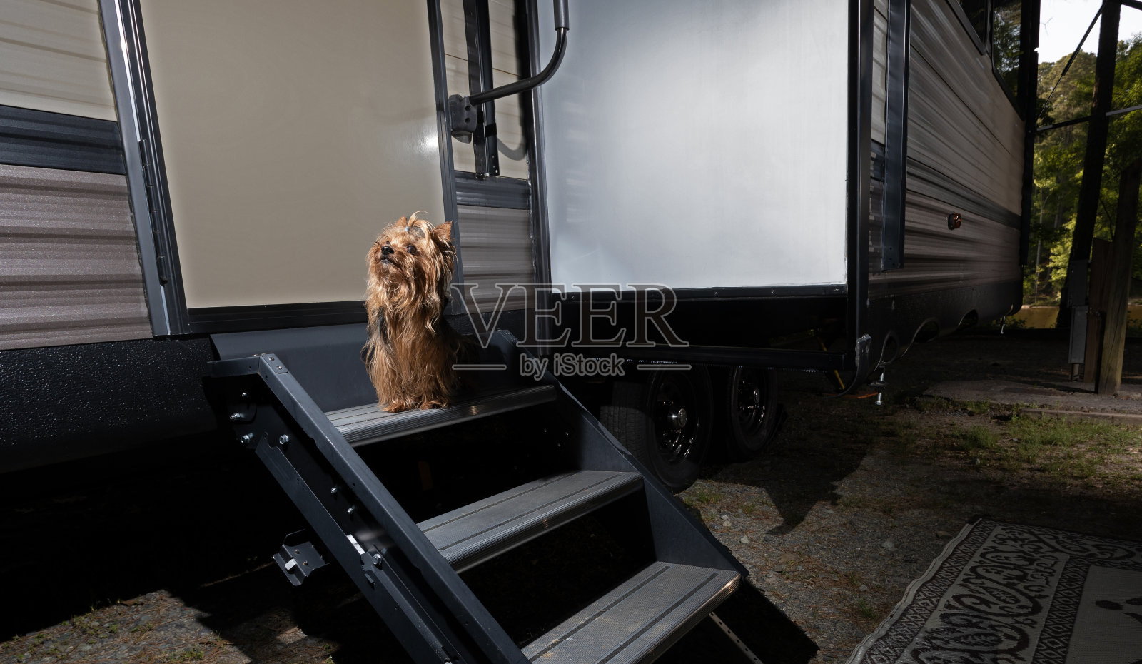 狗准备进入旅行拖车照片摄影图片