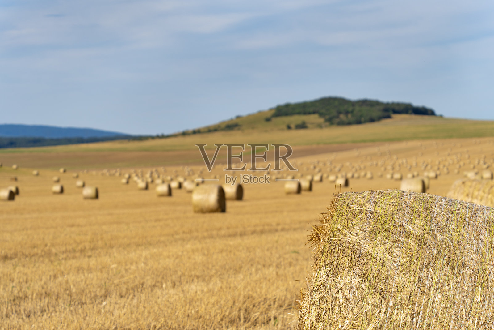夏日的阳光下，匈牙利山坡上的稻草捆照片摄影图片