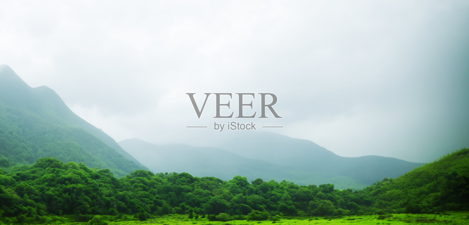 青山在雾全景自然视图山风景和冷雾在早晨的3D插图照片摄影图片