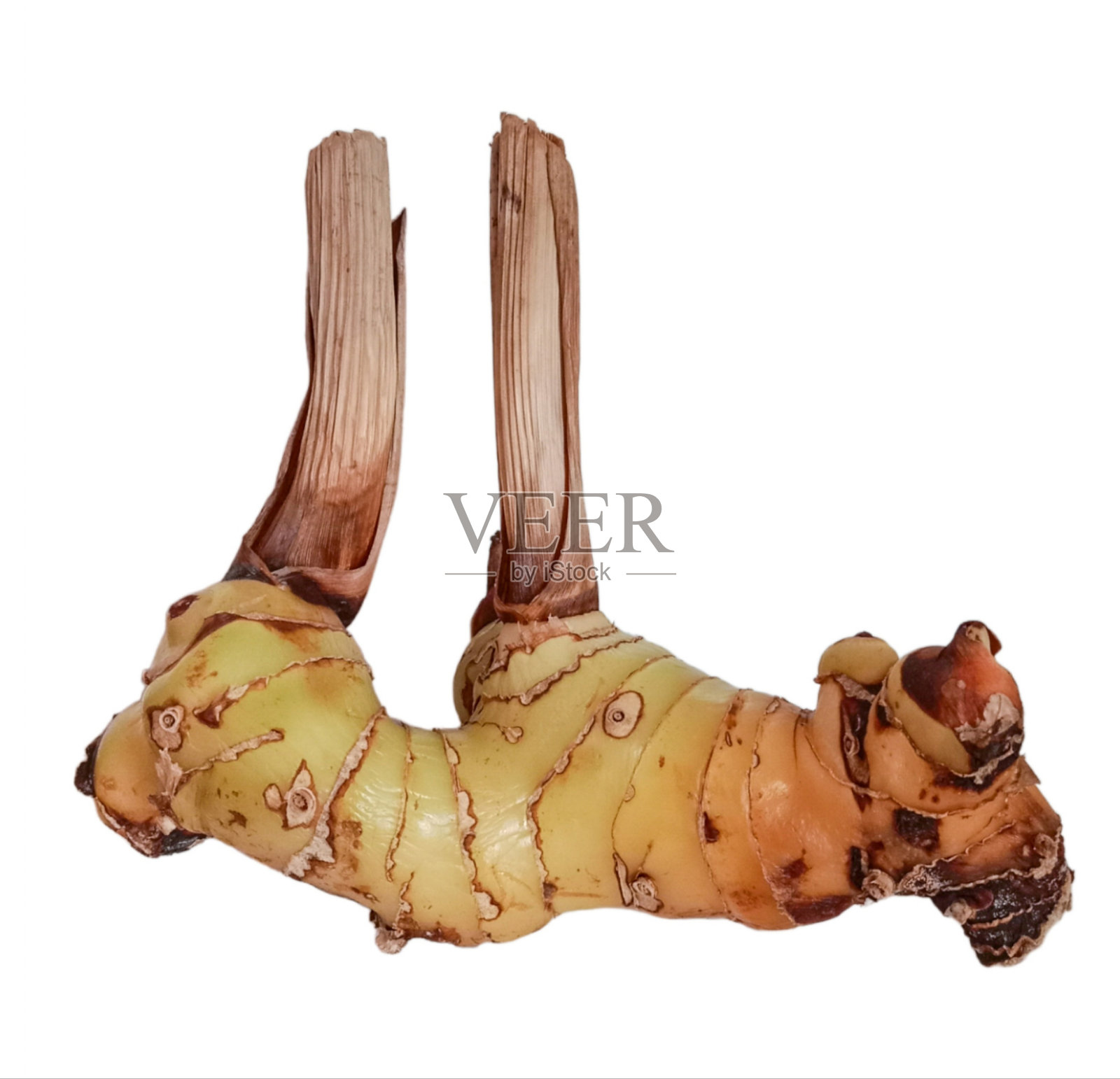 背景照片摄影图片