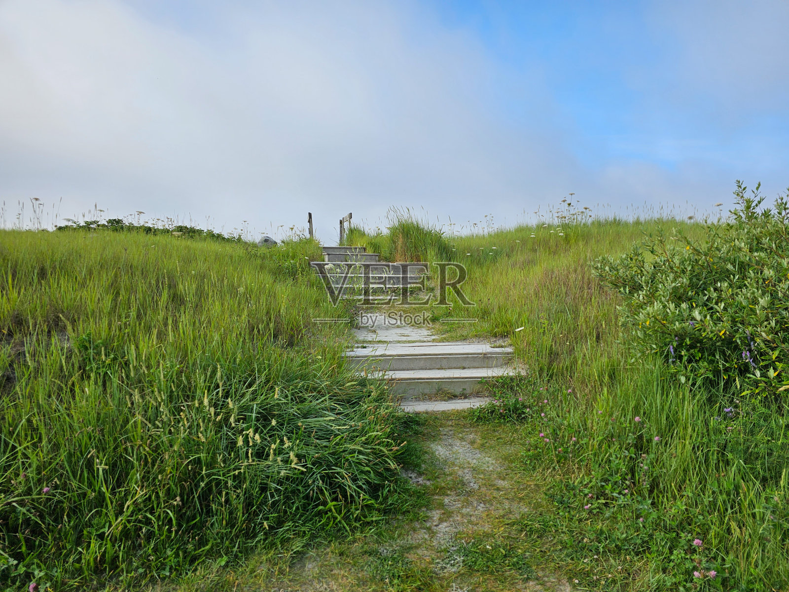 通往海滩的木楼梯照片摄影图片