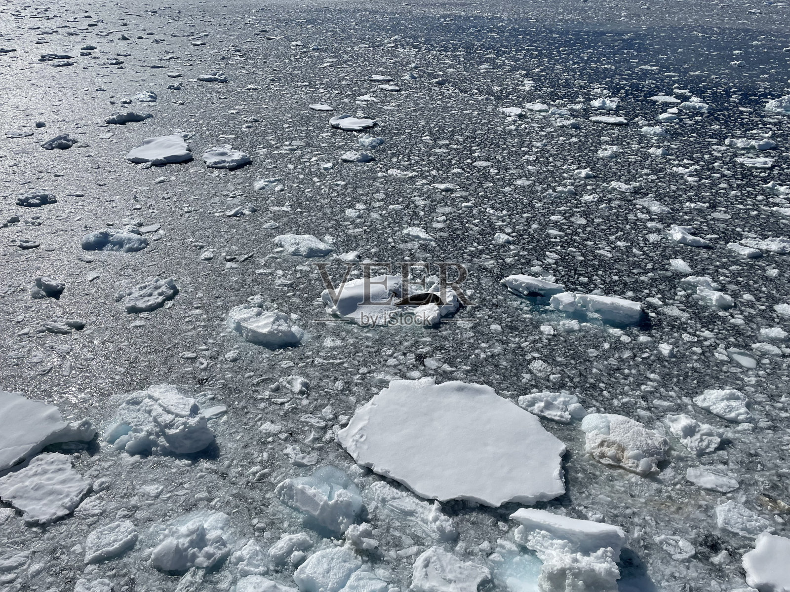 南极洲照片摄影图片