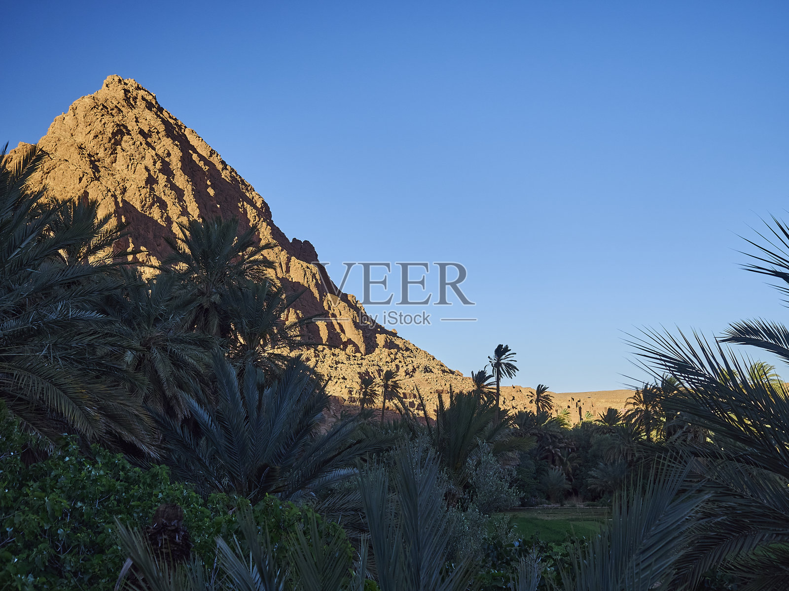 绿洲与郁郁葱葱的绿色植被在干燥和干旱的荒芜地区的沙漠景观在摩洛哥的山区。照片摄影图片